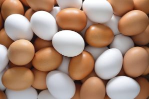 Kiếm bộn tiền nhờ gà đẻ trứng toàn lòng trắng